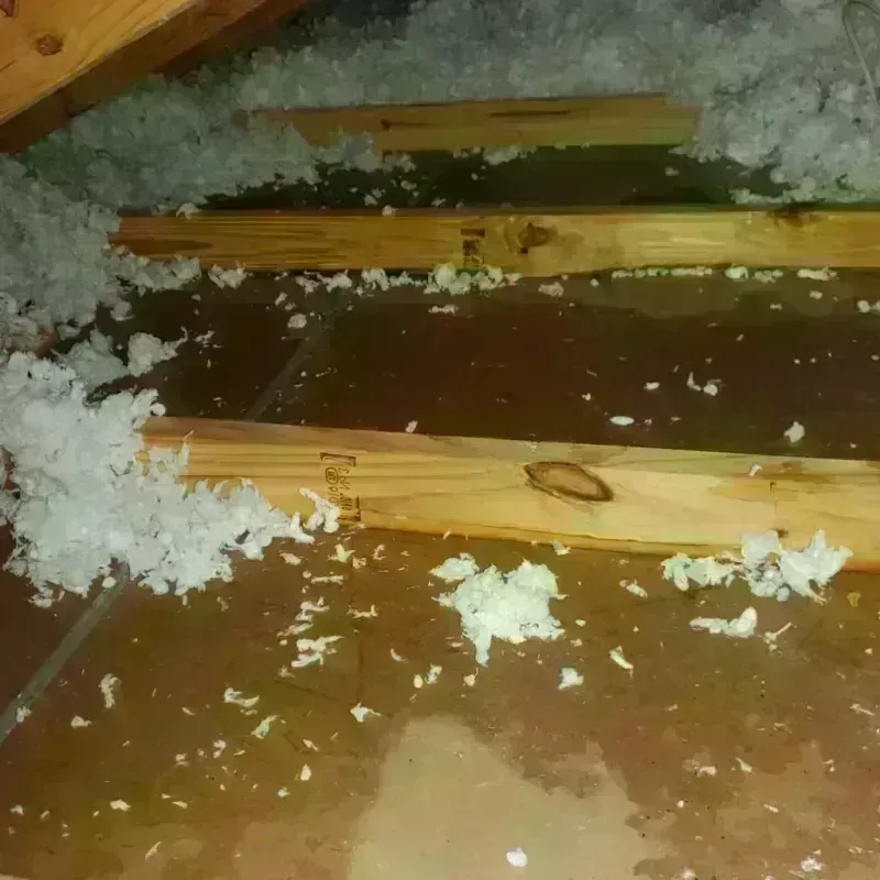 Attic Water Damage in Point Roberts, WA